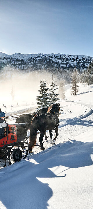 Pferdeschlittenfahrt durch verschneite Winterlandschaft mit mehreren Personen