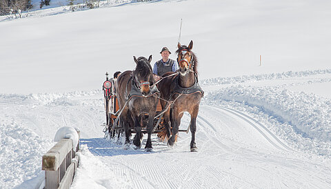 Mehrere Personen fahren mit einem Pferdeschlitten über die winterliche Landschaft