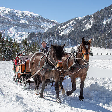 Gruppe fährt mit Pferdeschlitten durch eine verschneite Landschaft