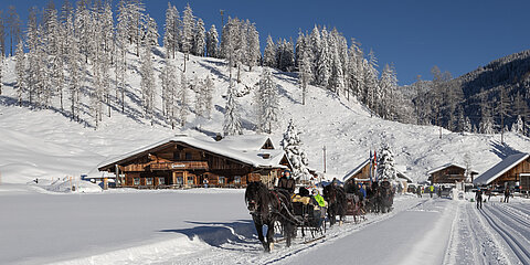 Pferdeschlittenfahrt durch verschneite Winterlandschaft mit mehreren Personen