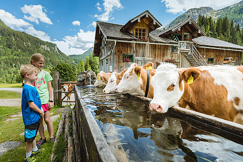 Zwei Kinder schauen sich die Kühe von der Gnadenalm an