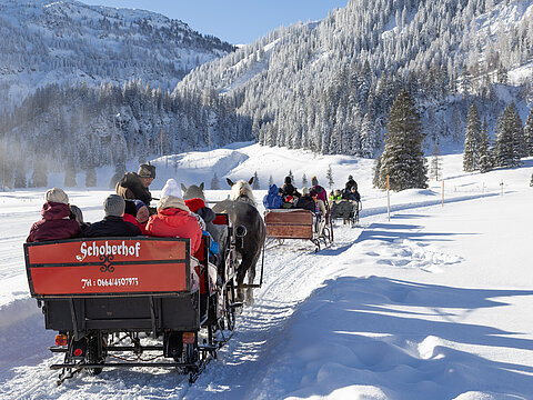 Mehrere Personen fahren mit einem Pferdeschlitten über die winterliche Landschaft