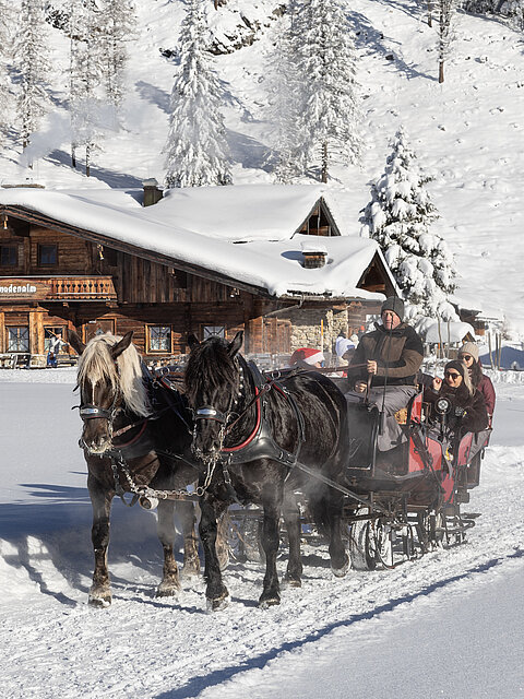 Mehrere Personen fahren mit einem Pferdeschlitten über die winterliche Landschaft