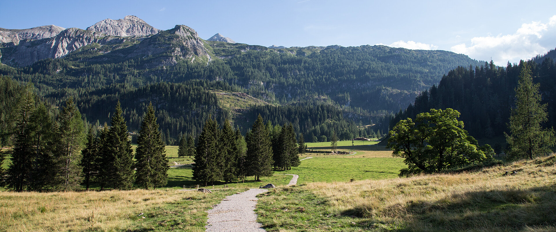  Sommerliche Berglandschaft bei Obertauern mit Wanderweg und grüner Almwiese