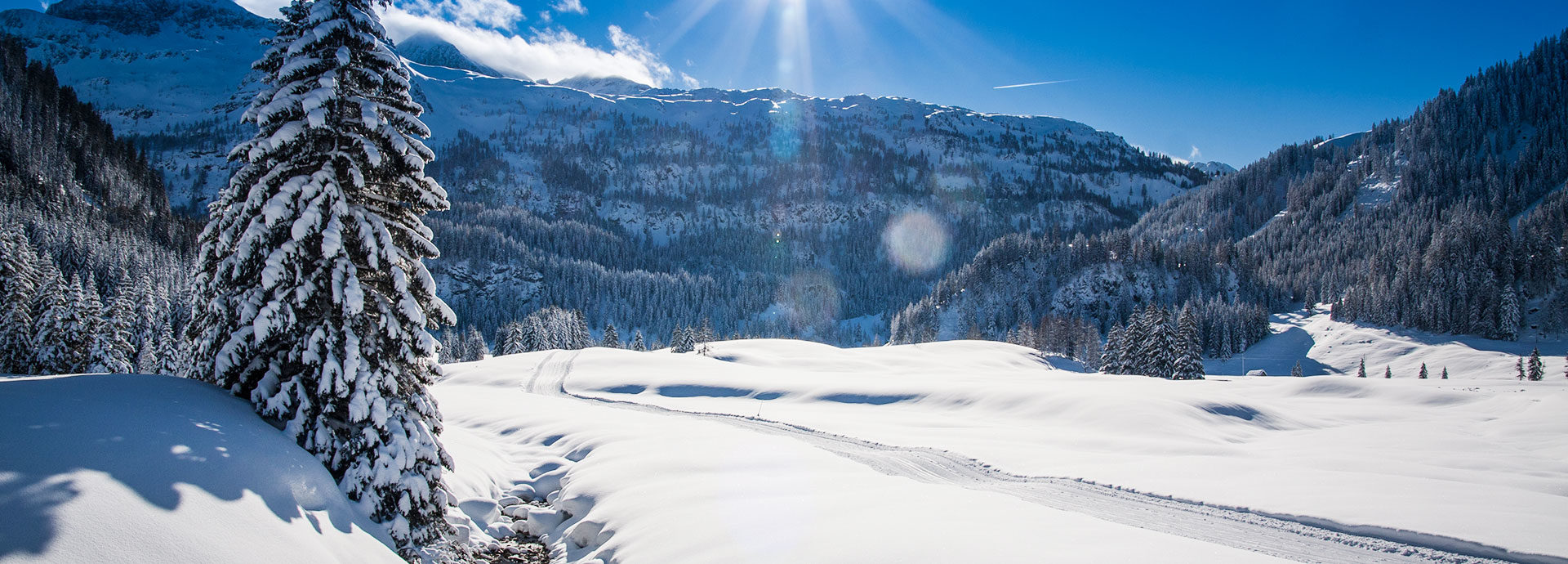 Langlaufen, Loipe Gnadenalm