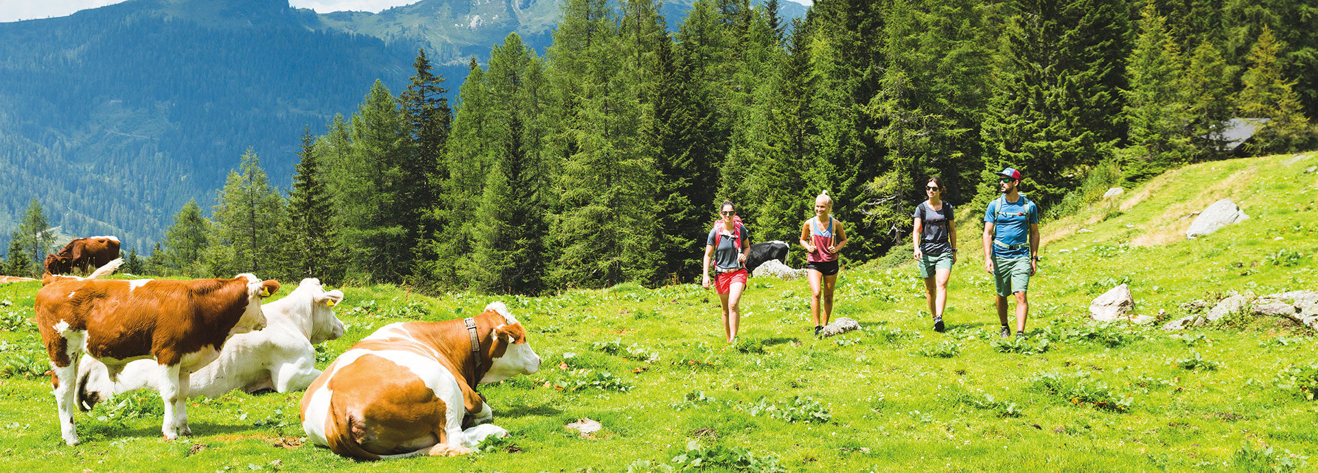 Wandern in Obertauern